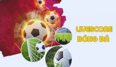 Xoivo.store xem bóng đá trực tuyến chất lượng đỉnh cao